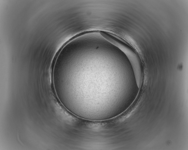 X0000090500892200707201544