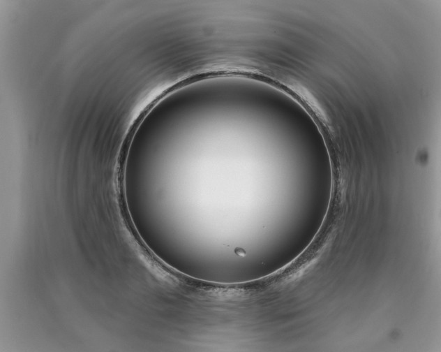 X0000090500893200707201544
