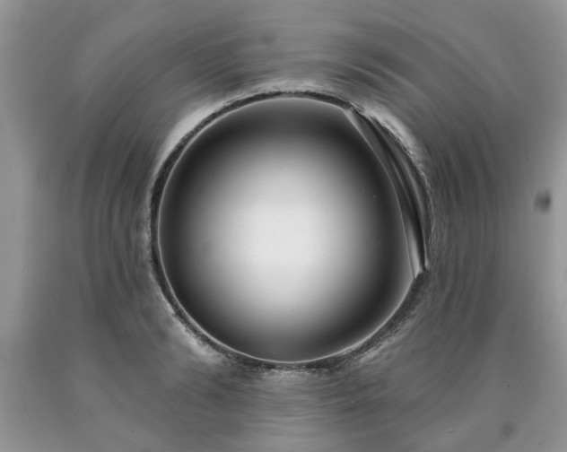 X0000090500894200707201544