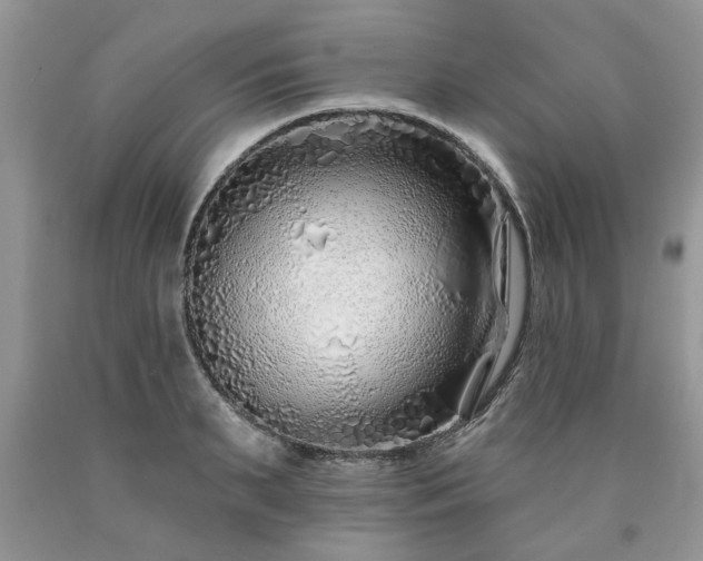 X0000090500895200707201544