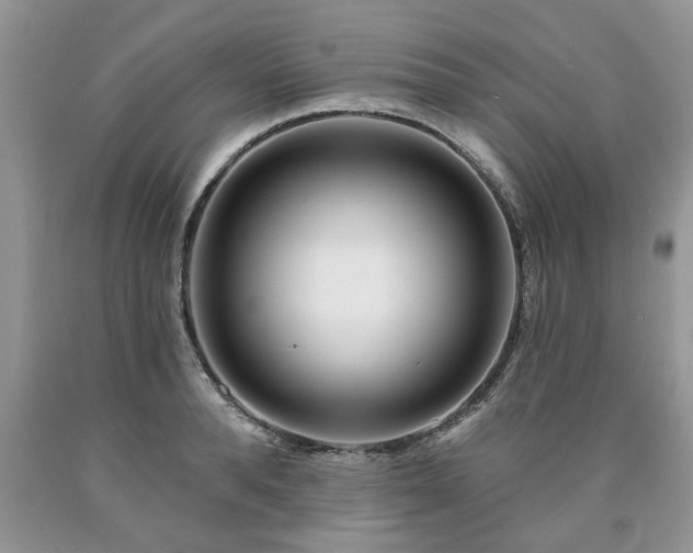 X0000090500896200707201544