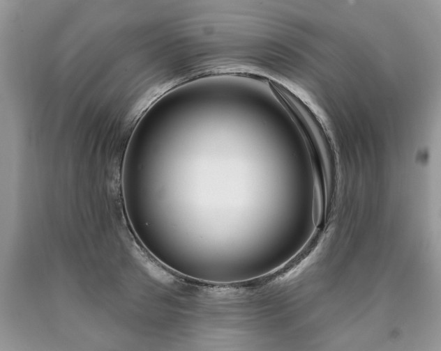 X0000090500897200707201544