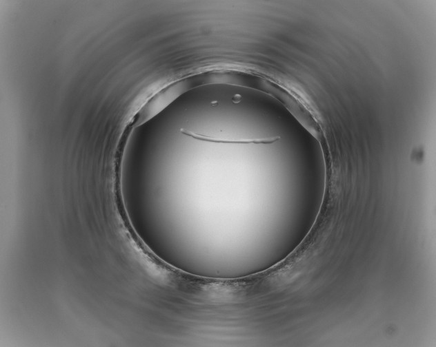 X0000090500898200707201544