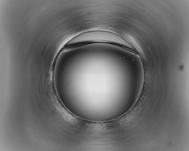 X0000090500900200707201544