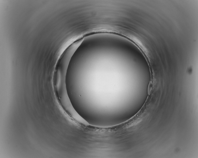 X0000090500901200707201544