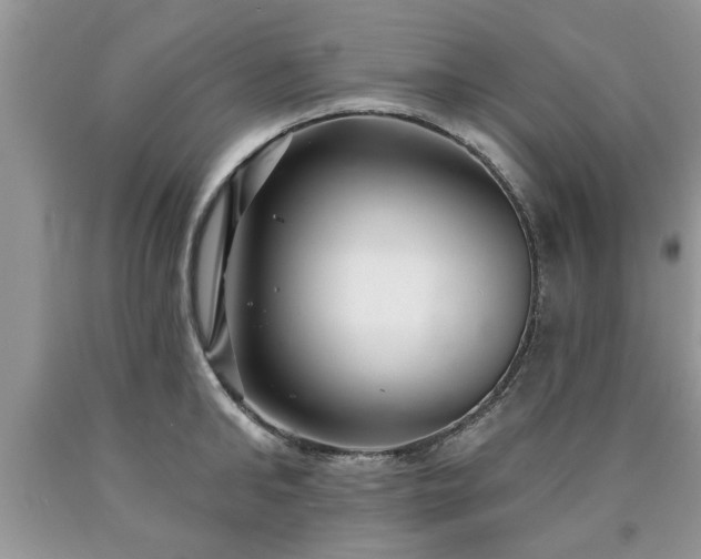 X0000090500902200707201544
