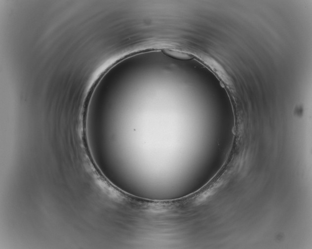 X0000090500904200707201544