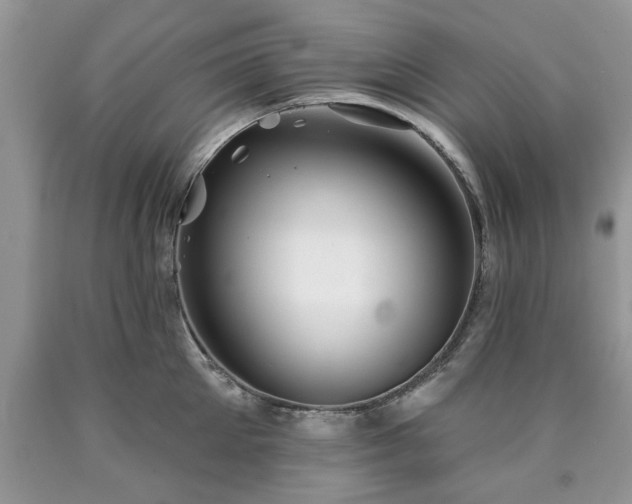 X0000090500905200707201544