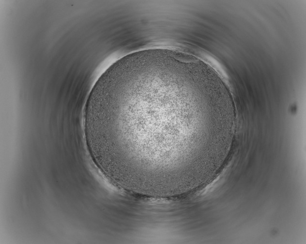 X0000090500907200707201544