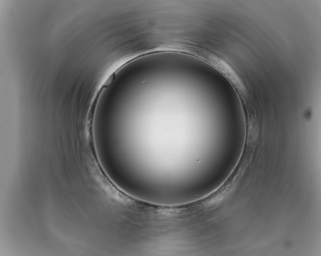 X0000090500908200707201544