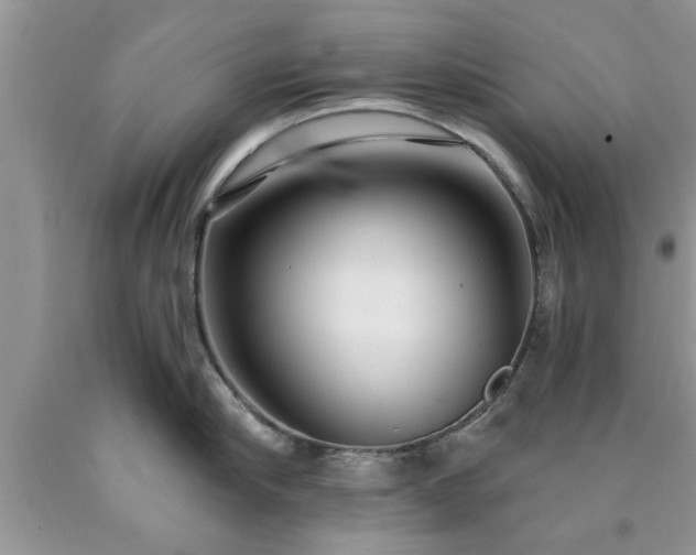 X0000090500910200707201544