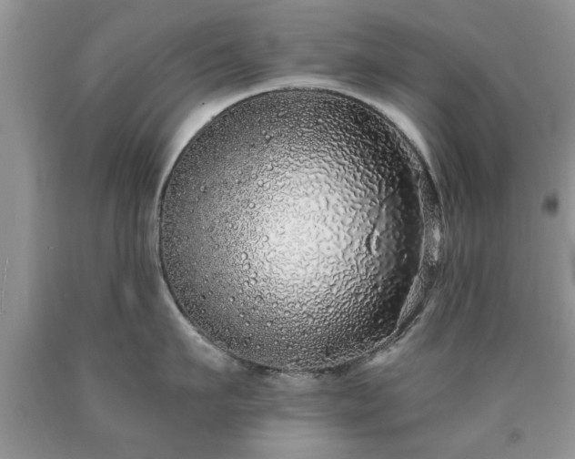 X0000090500911200707201544