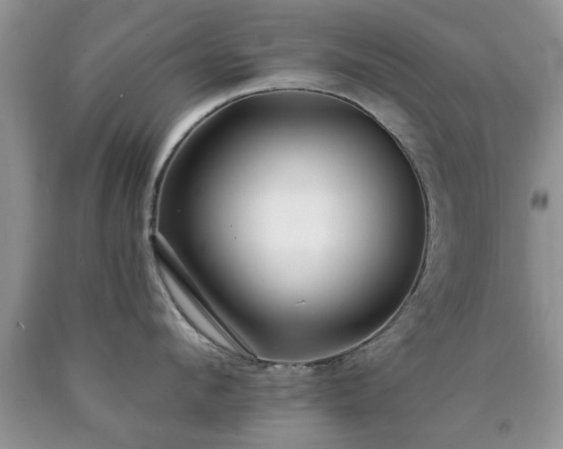 X0000090500912200707201544