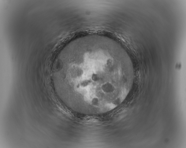 X0000090500913200707201543