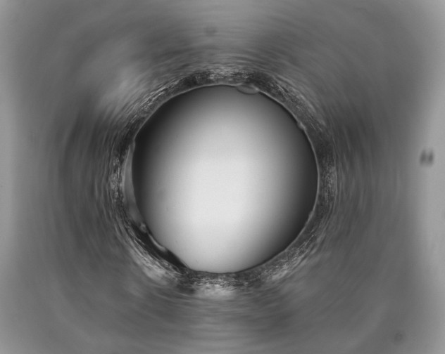 X0000090500914200707201543