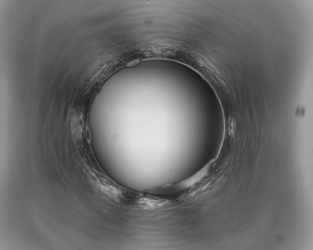 X0000090500915200707201543