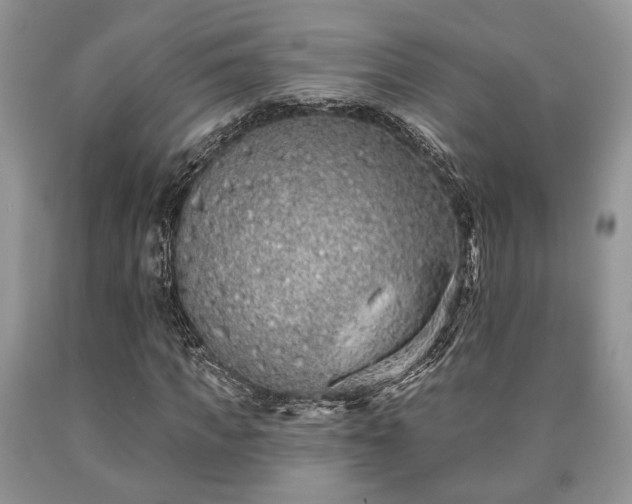 X0000090500917200707201543
