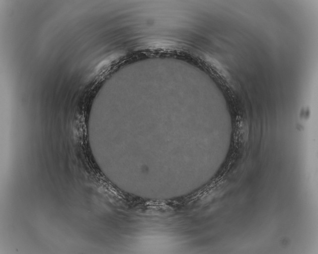 X0000090500918200707201543