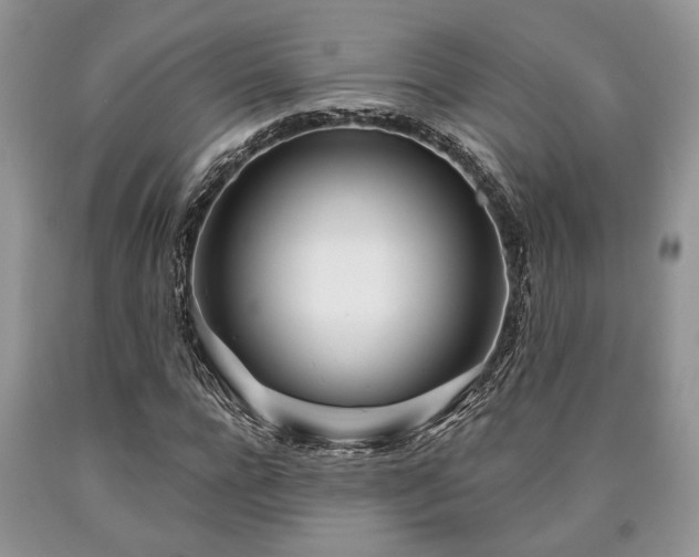 X0000090500920200707201543