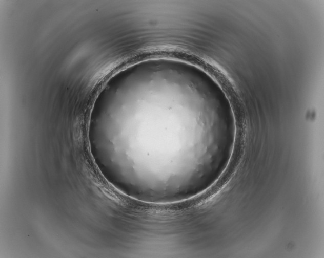 X0000090500921200707201543