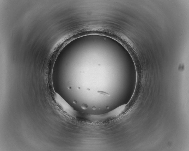 X0000090500922200707201543
