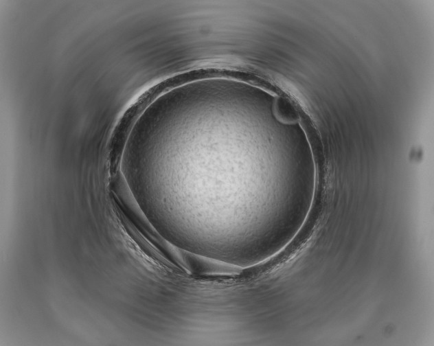 X0000090500923200707201543