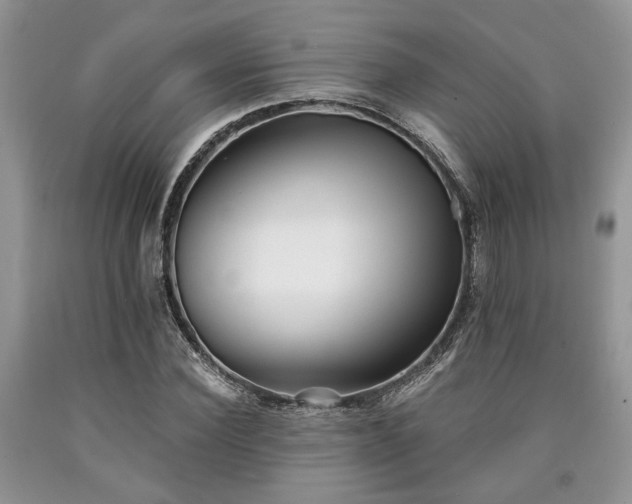 X0000090500924200707201543