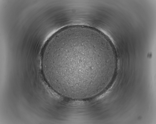 X0000090500925200707201543