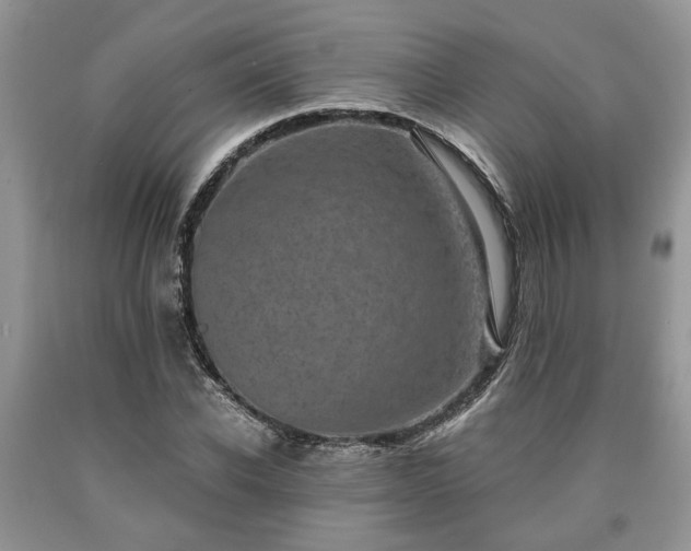 X0000090500926200707201543