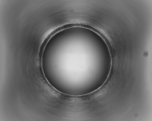 X0000090500927200707201543
