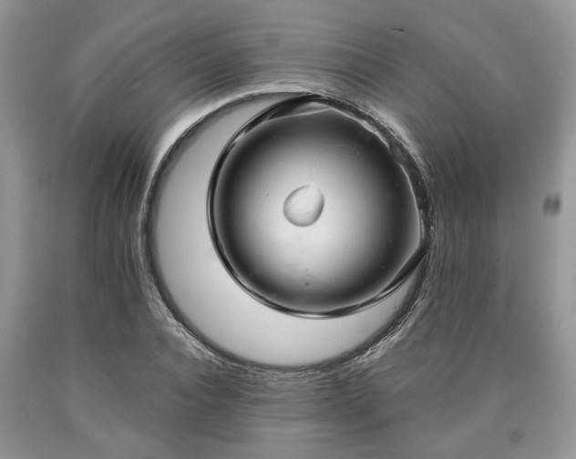 X0000090500928200707201544