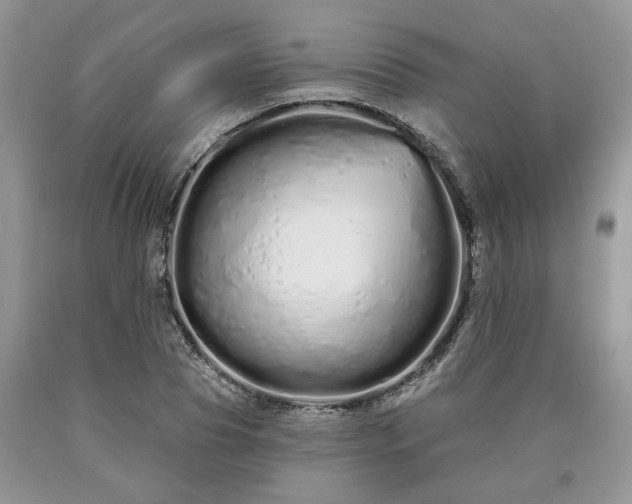 X0000090500929200707201544