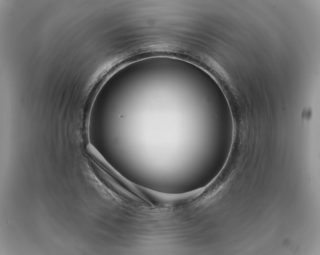 X0000090500930200707201544