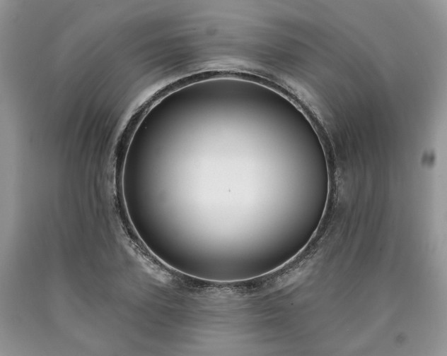X0000090500931200707201544