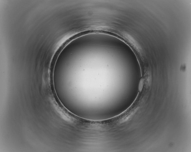 X0000090500932200707201544
