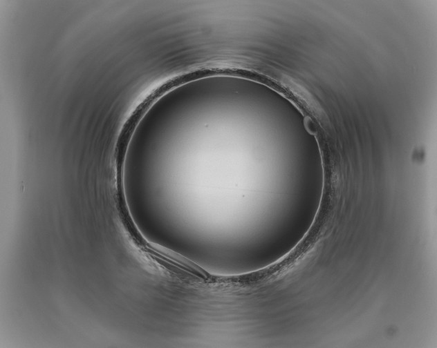 X0000090500934200707201544