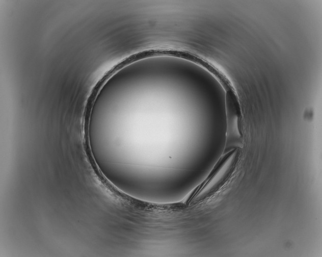 X0000090500935200707201544