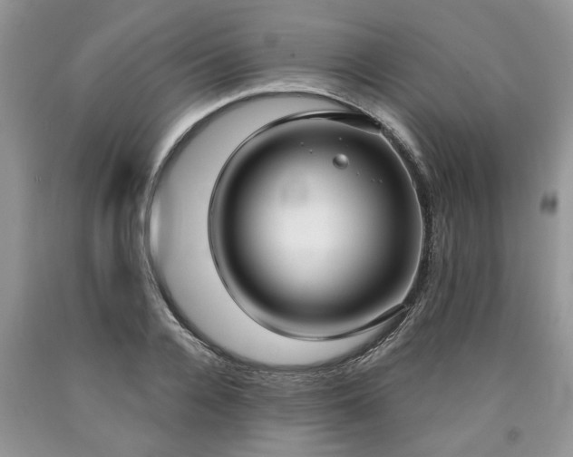 X0000090500936200707201544