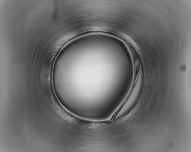 X0000090500938200707201544
