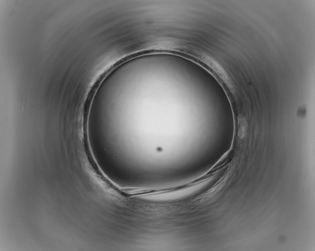 X0000090500939200707201544