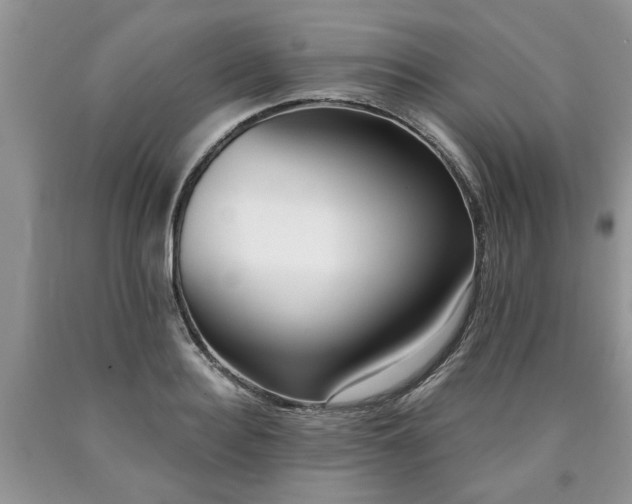 X0000090500940200707201544