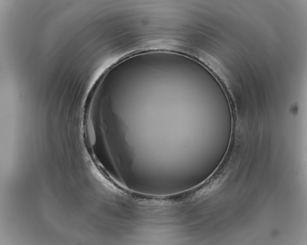 X0000090500941200707201544