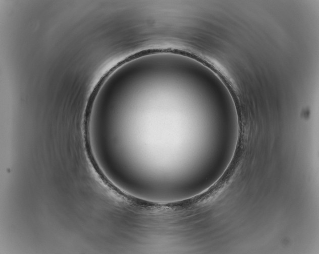 X0000090500943200707201544