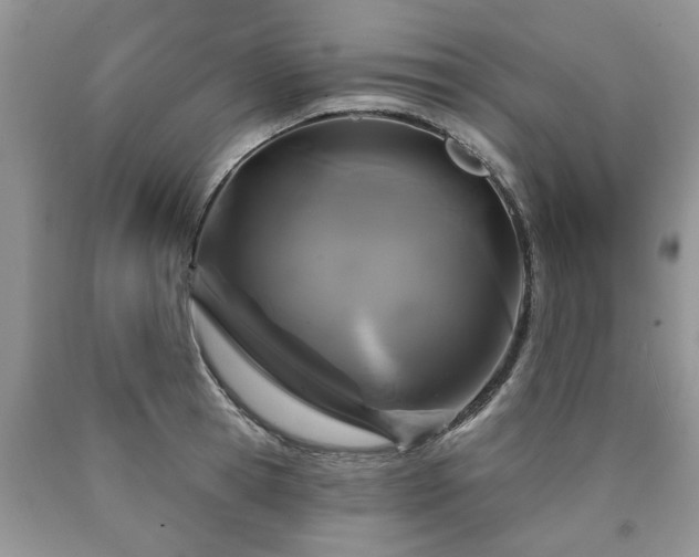 X0000090500945200707201544