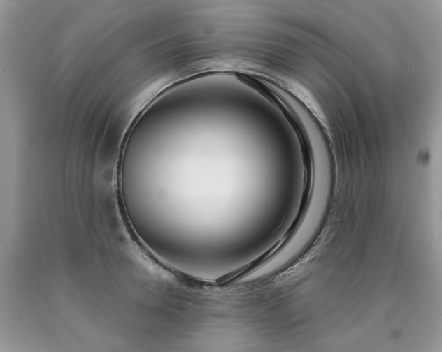 X0000090500946200707201544