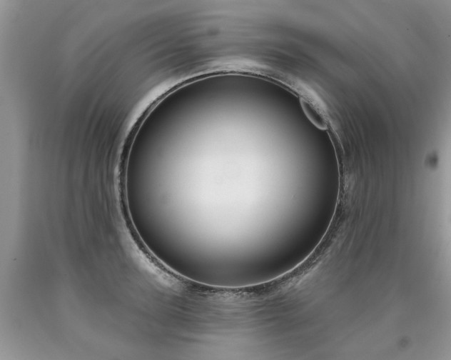 X0000090500947200707201544