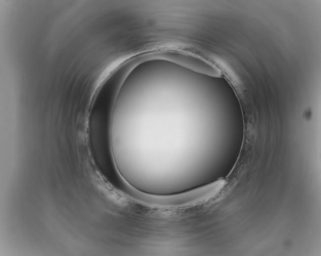 X0000090500948200707201544