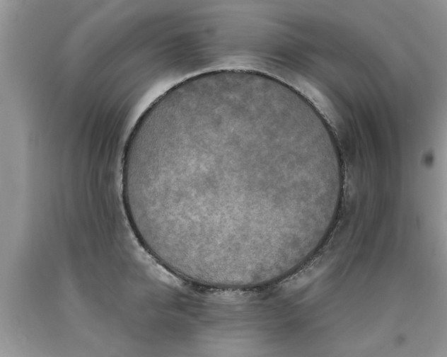 X0000090500950200707201544