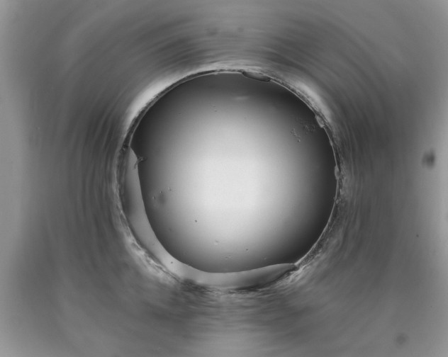 X0000090500952200707201544