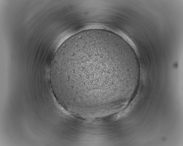 X0000090500953200707201544